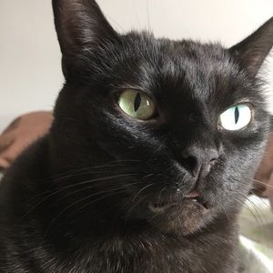 Meet your Posher, Larissa